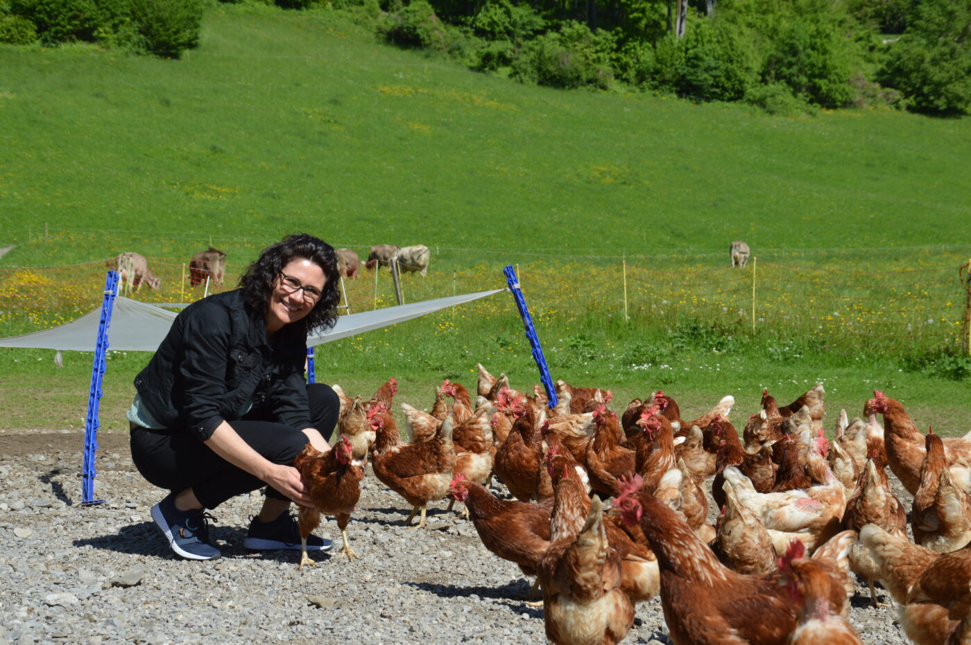 80 Hühner sind in der Obhut von Silvia Schnyder.