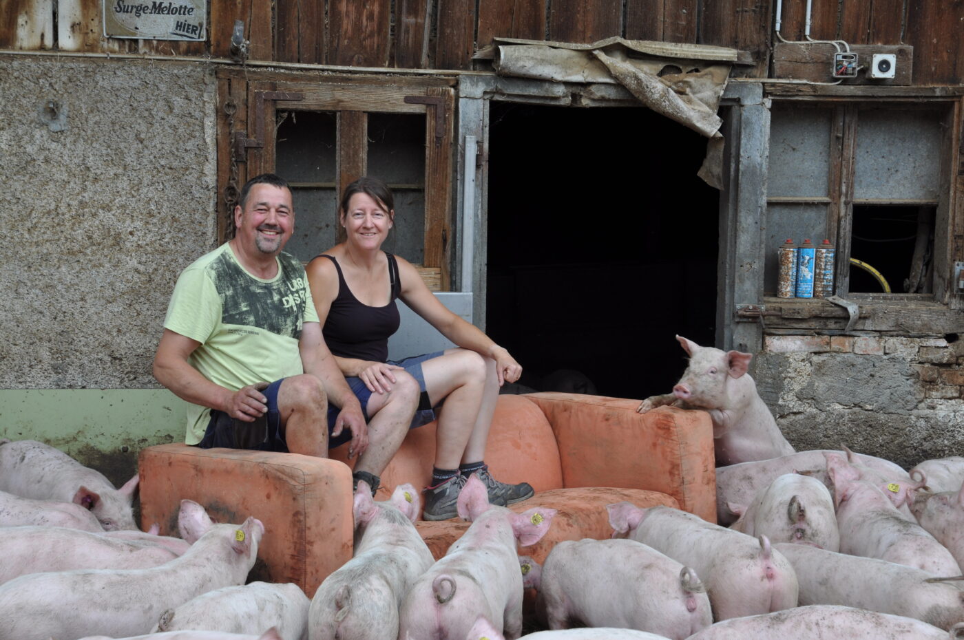 Immer für einen Spass zu haben: Fridolin und Karin Landolt stellen kurzerhand das für die Entsorgung bestimmte Sofa für ein Foto in den Schweinestall.