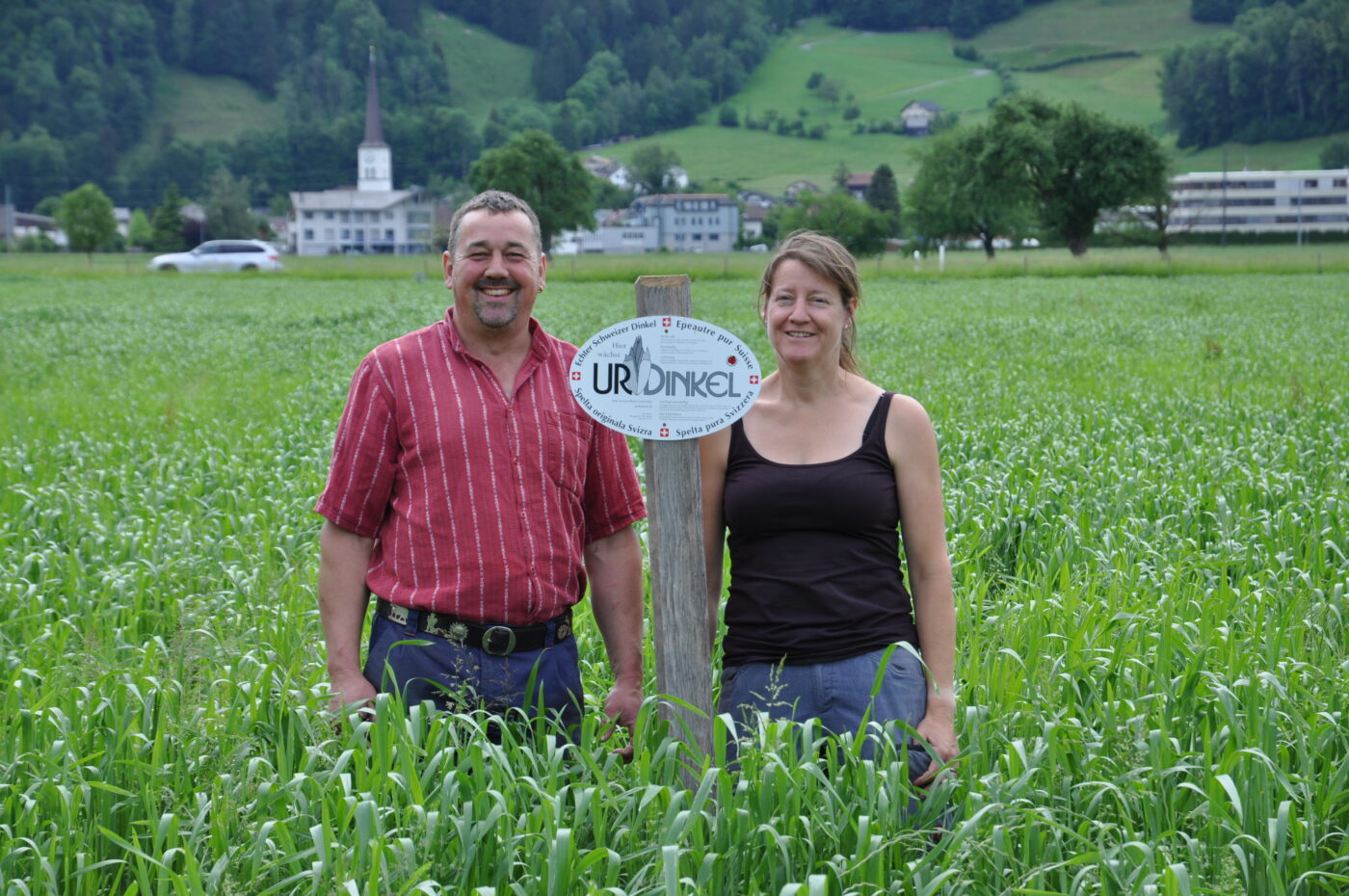 Auf dem früheren Hanffeld haben Landolts heuer erstmals Urdinkel angepflanzt.