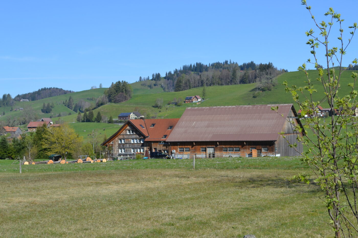 Zur Brunnenau gehören anderthalb Hektaren Streuriet. 