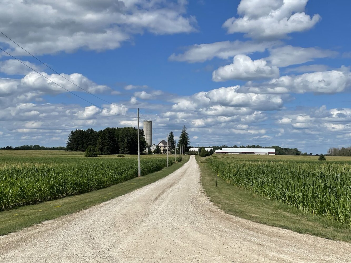 Schweinehaltung in Kanada