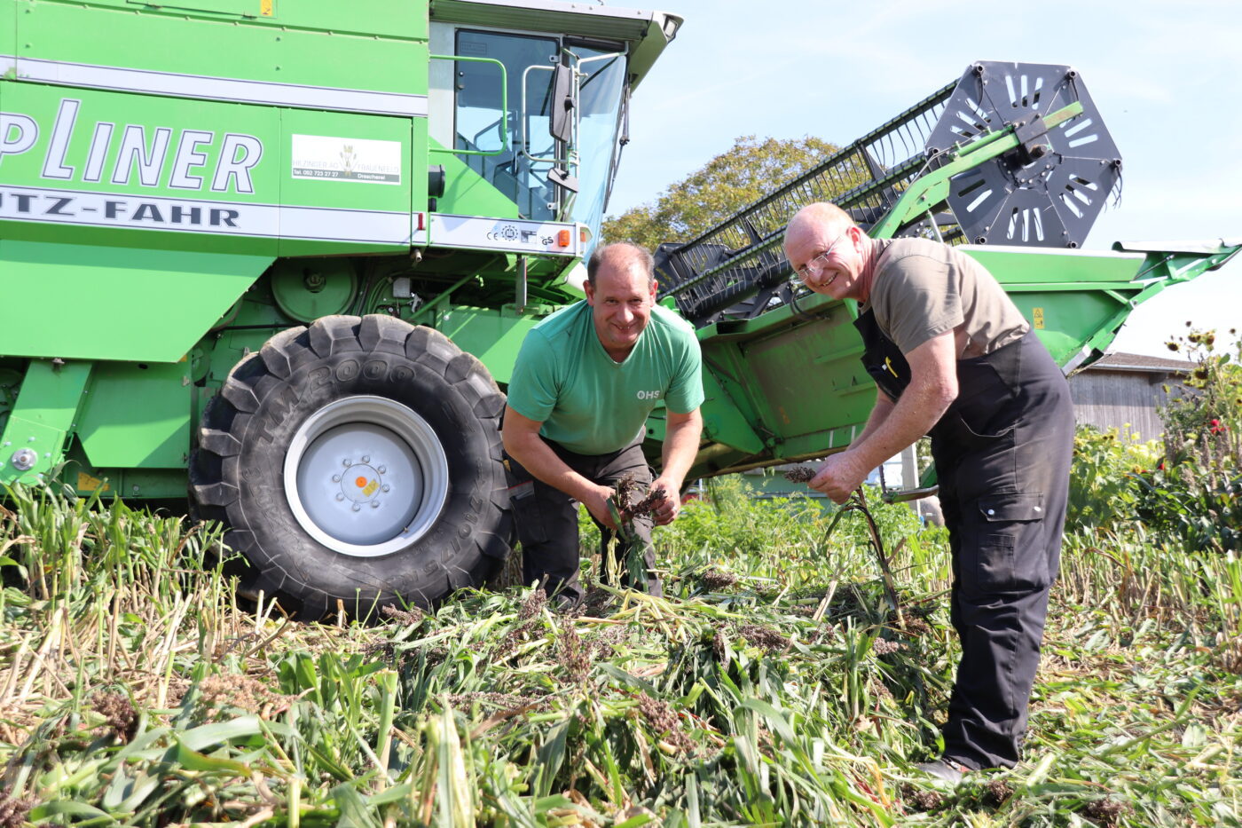 Sorghum Ernte