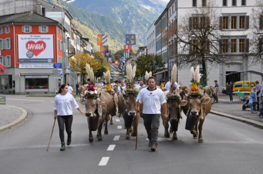 Viehschau Glarus