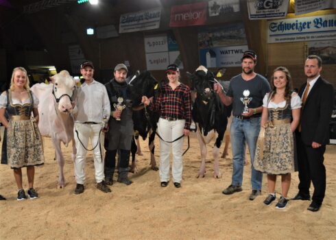 Das Siegertrio der Holstein Championwahl mit Karl Ammans Bad Tiberia.