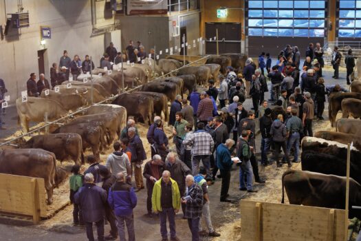 Blick in die Halle.