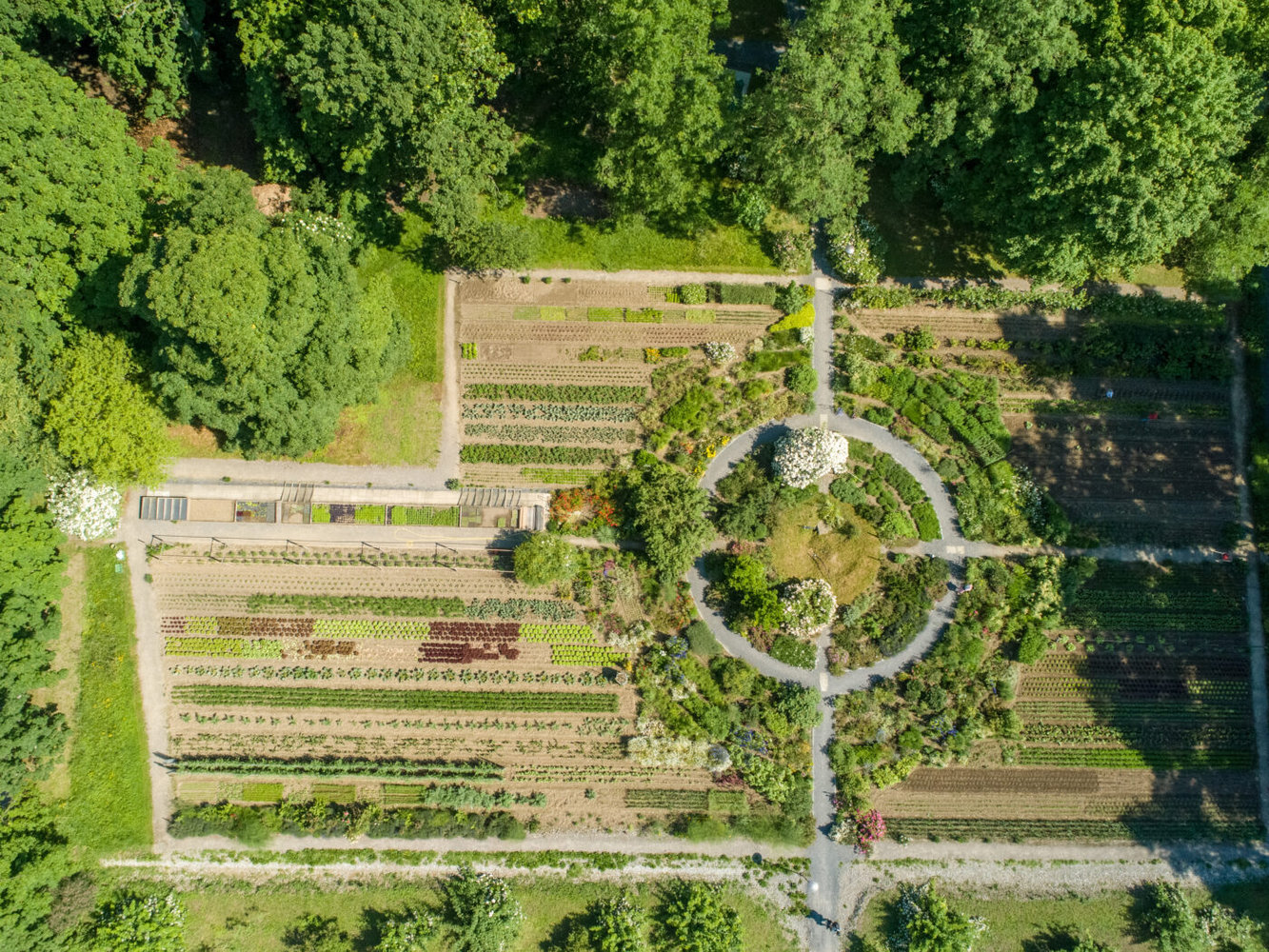 Besonderes Gemüse und Kräuter auf Schloss Wartegg