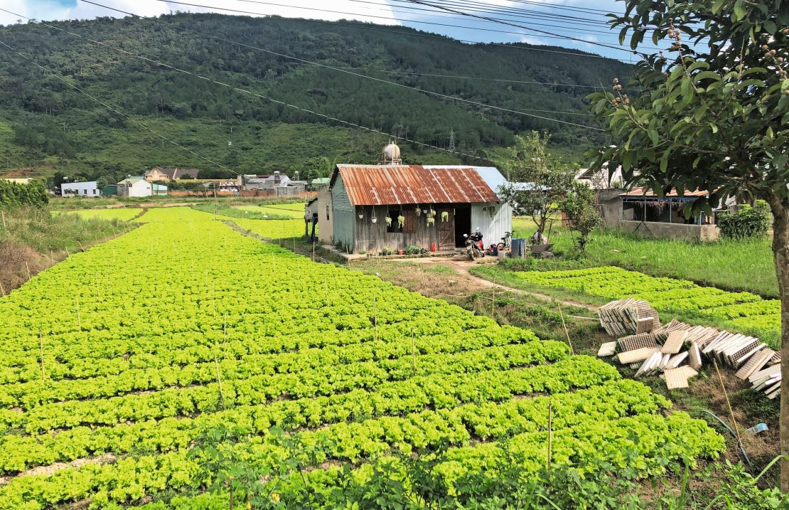 Vietnam verfügt über viel fruchtbaren Boden.