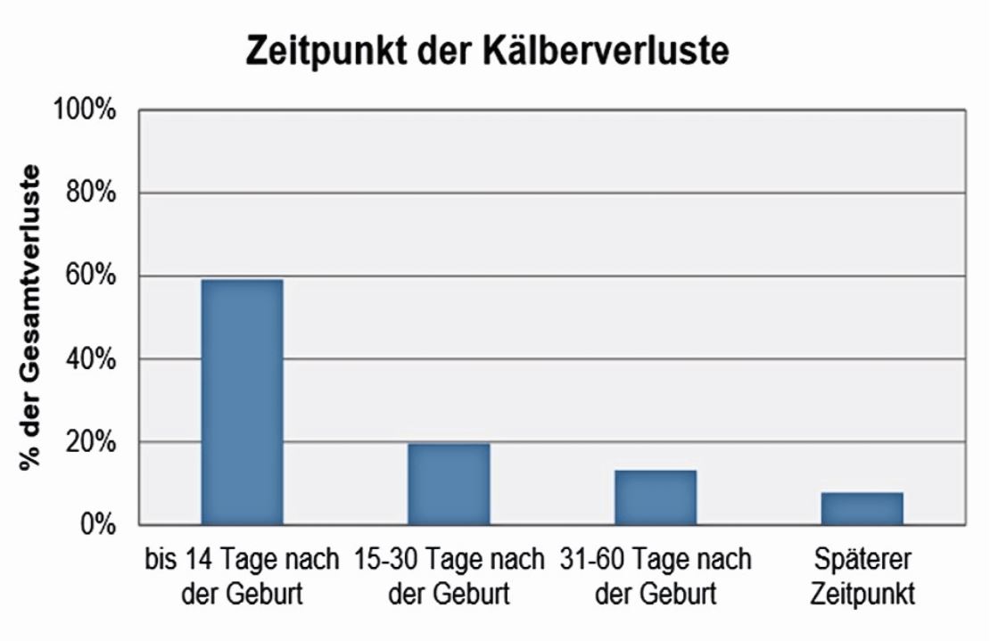 Fast 60 Prozent der Kälberabgänge verzeichnet man in den ersten zwei Lebenswochen. Quelle: Humus 2014