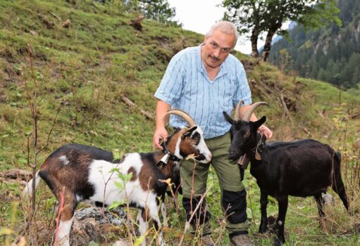 Meinrad John widmet sich der Hobbyzucht von Tauernschecken und Nera Verzasca.