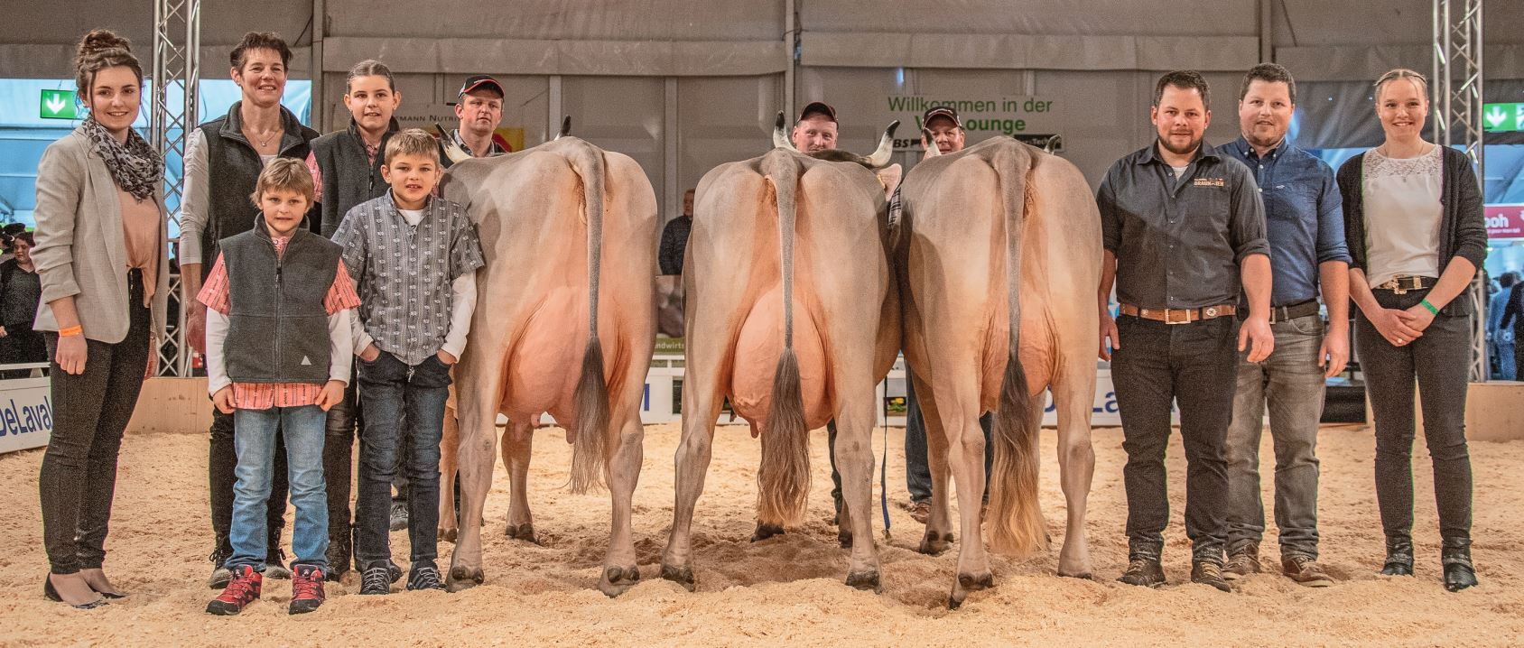 Siegertrio des Original Braunvieh an der Tier & Technik. Bilder: Braunvieh Schweiz