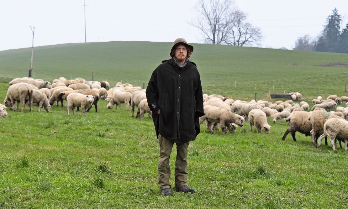 Mit der Schafherde ist Wanderschäfer Julius Greif seit Anfang Dezember unterwegs.