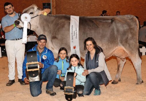 Virestar Nischa von Marco Wildhaber aus Flumserberg holte sich den Championtitel.