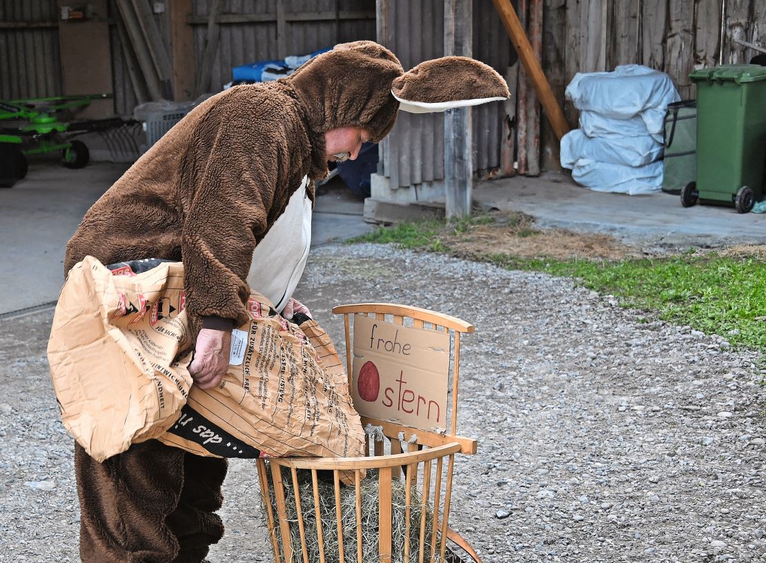 Der als Osterhase verkleidete Valentin Fässler schüttet Heu in die Chränze.