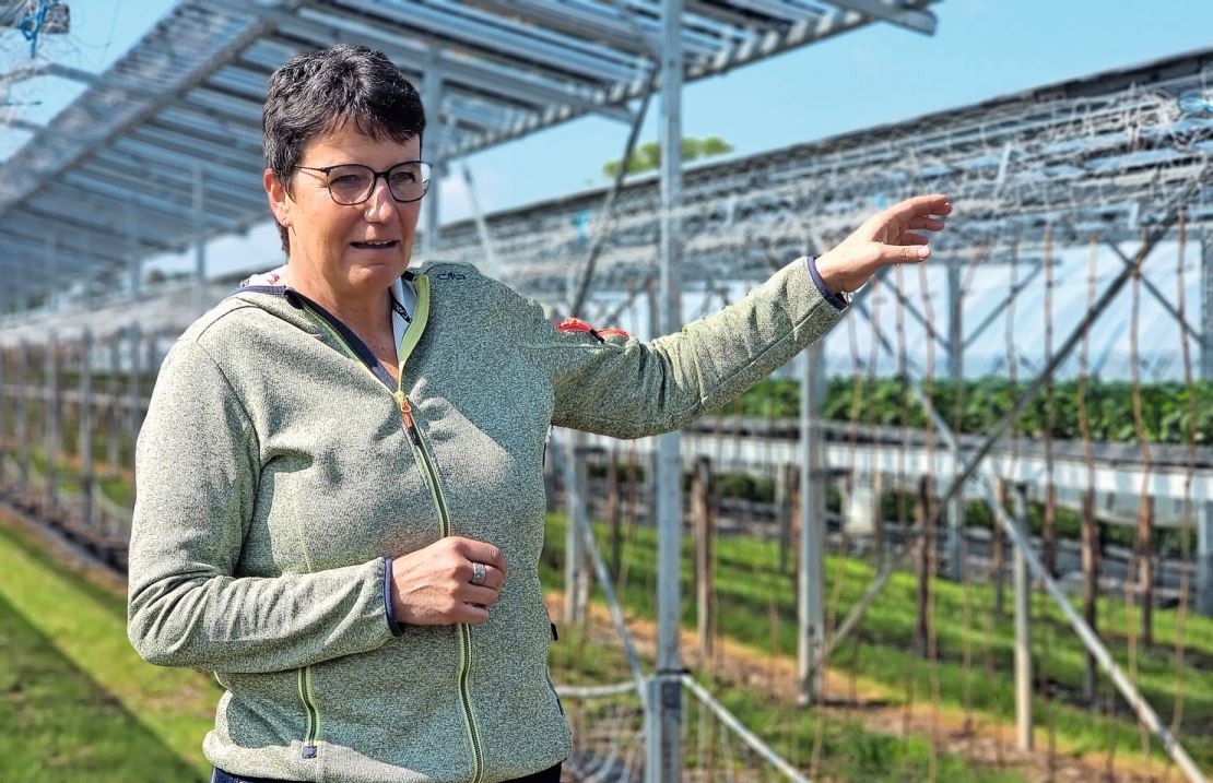 Barbara Schwab Züger setzt auf erneuerbare Energien. Den Stromverbrauch und die -produktion hat sie im Fünf-Sekunden-Takt aktuell auf dem Bildschirm.