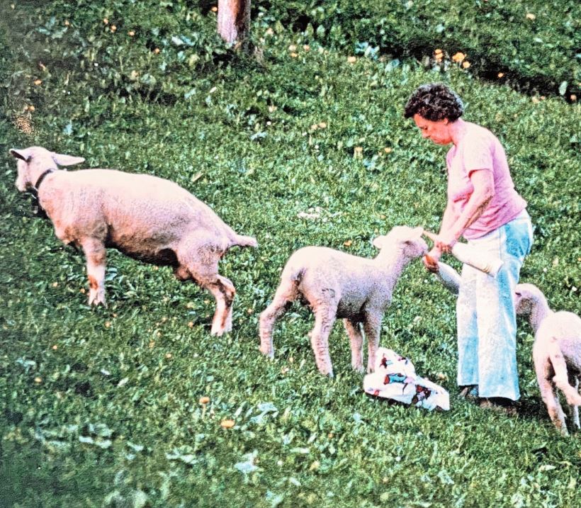 Theres Bleisch beim Schöppeln kleiner Lämmer – da kam keines zu kurz.