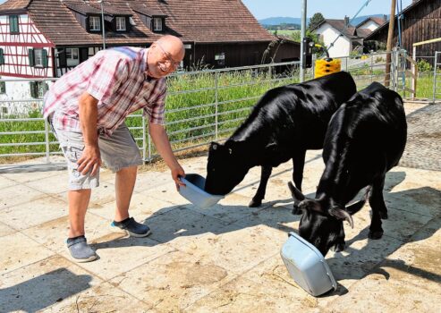 Wenn Fritz Lerch Futter hinhält, nähern sich Alta und Maela besonders rasch.