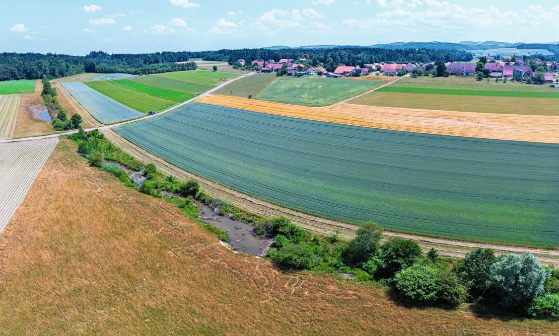 Auch in Hersiwil ist der Biber heimisch geworden.