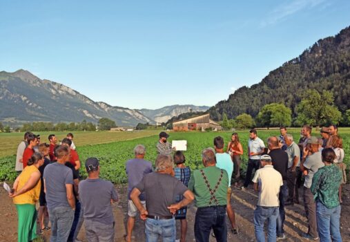 In Sargans und Bad Ragaz wurden am Feldrand viele Infos über Körnerleguminosen ausgetauscht. Bilder: Franziska Mühlbach