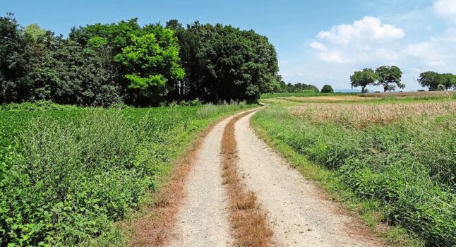 Auch wenn Flur- und Bewirtschaftungswege nicht zur landwirtschaftlichen Nutzfläche gehören, gilt es einige Regeln zu beachten. Bild: zVg.