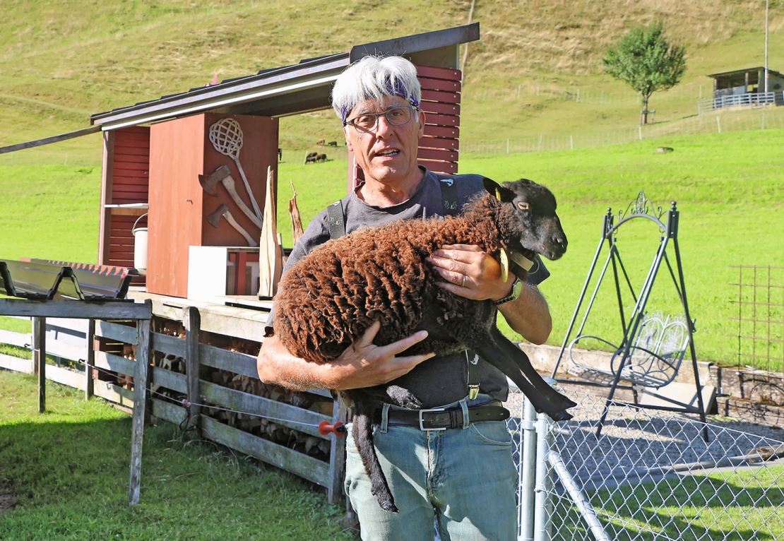 Rainer Widmer ist begeisterter Ouessant-Züchter.