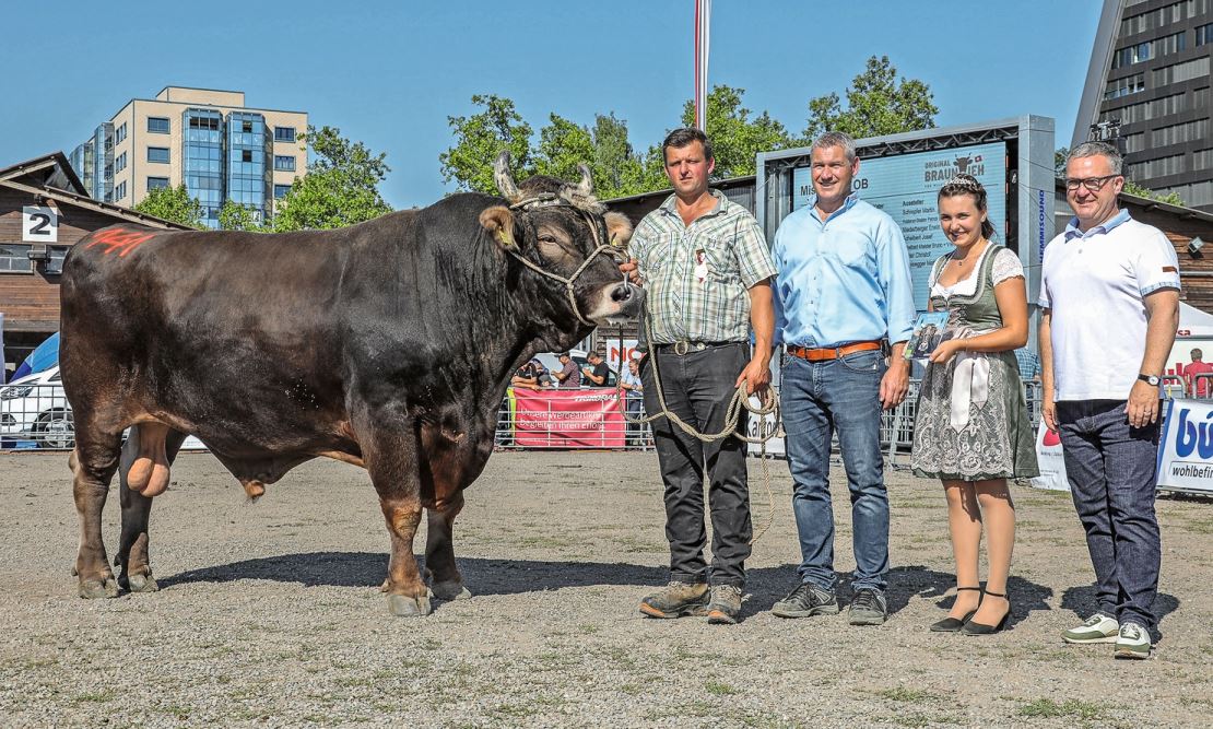 OB-Stier Einar Loma von Andreas Schläpfer aus Wald im Kanton Zürich wird Mister OB ZM Zug.