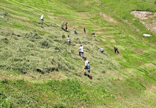 Wildheuen oberhalb des Walensees. Die Helfer haben alle Hände voll zu tun.