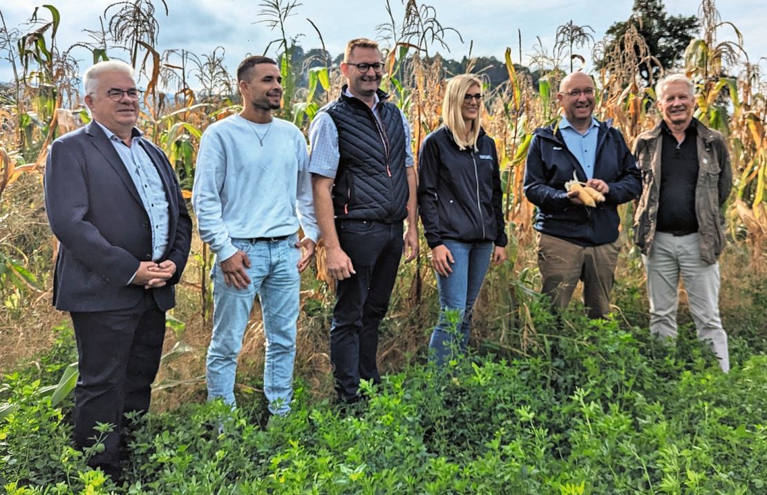 Klaus Brammertz, Christian Lütolf, Peter Nüesch, Vivienne Oggier, Beat Tinner und Ernst Lütolf (von links) vor einem Ribelmaisfeld.