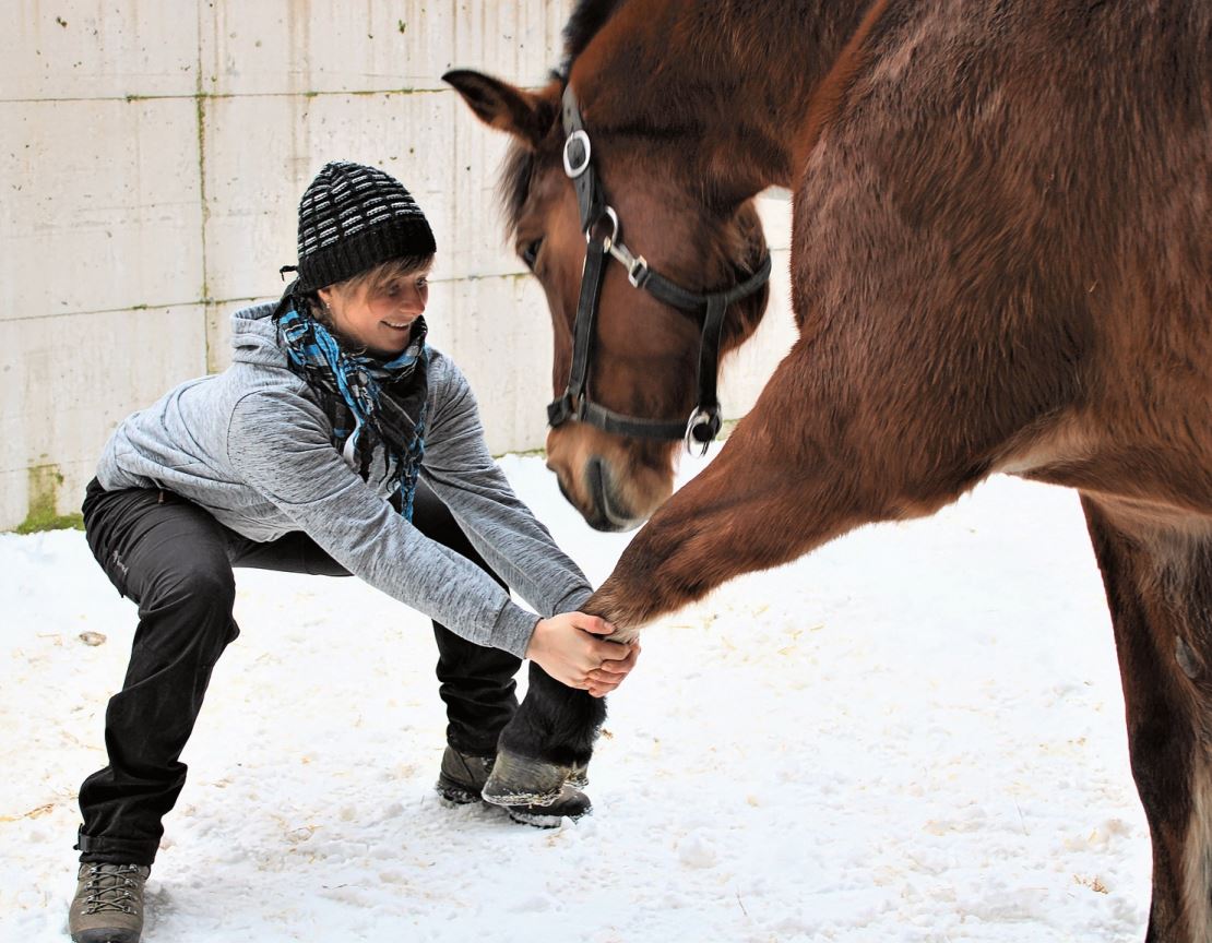 Andrea Dörig stellt fest, dass bei diesem problematischen Bein eine Osteopathie die tierärztliche Hilfe ersetzt. Bild: zVg.