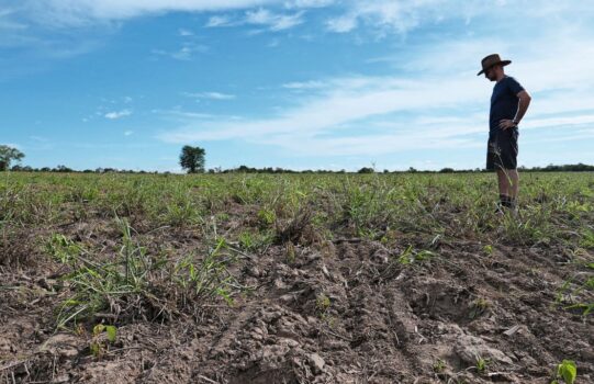 Die Landwirtschaft ist global herausgefordert. Bild: zVg.