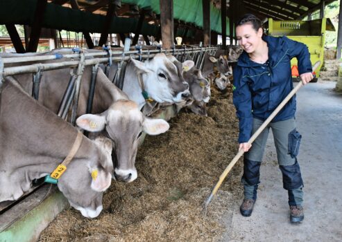 Christel Steger liebt vor allem die Arbeit mit Tieren.