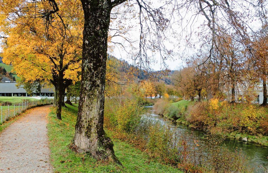 Die Thurallee soll zugunsten des Hochwasserschutzes weichen.