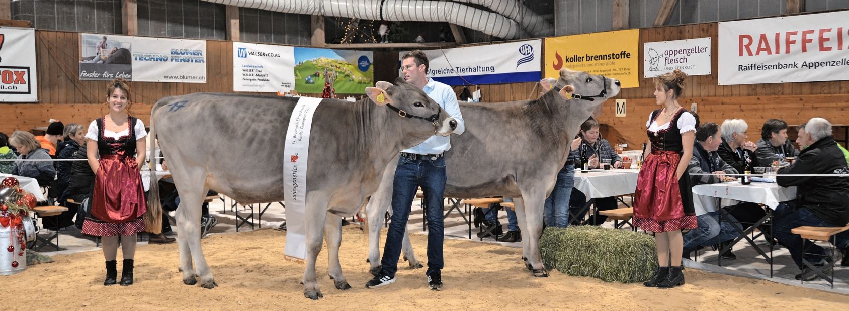 Die Jungvieh-Champion Aldo Daisy von Hansueli Widmer-Hohl und Yule Amira von Konrad Bodenmann.