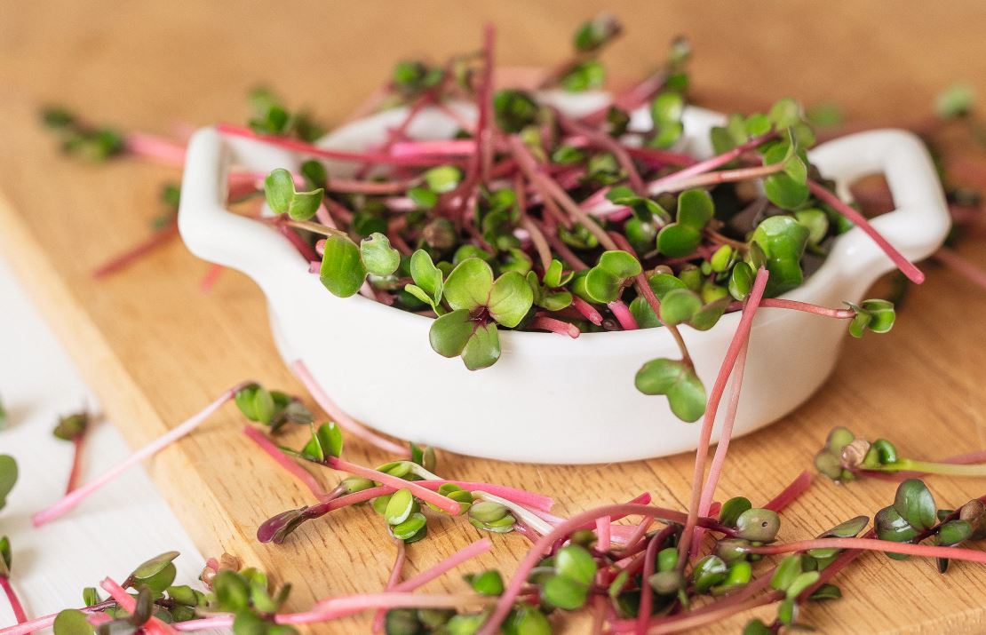 Ohne Kochen und lange Transportwege ist der Gesundheitswert am höchsten. Bild: pexels