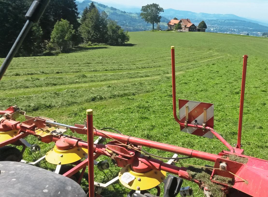 So viele Überfahrten wie nötig, so wenig wie möglich. Bild: lzsg.