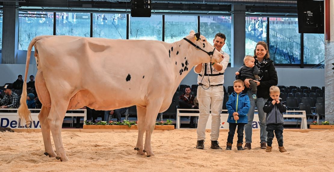 Saetteli Gold Chip Hoshiko von Dominik Sätteli aus Mörschwil holte den Senior-Champion-Holstein-Titel.