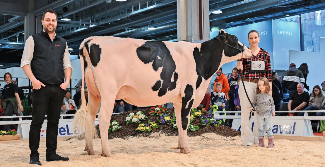 Amanns Delta-Lambda Faba von Karl Ammann aus Schwarzenbach wurde der Junior-Champion-Holstein-Titel verliehen.