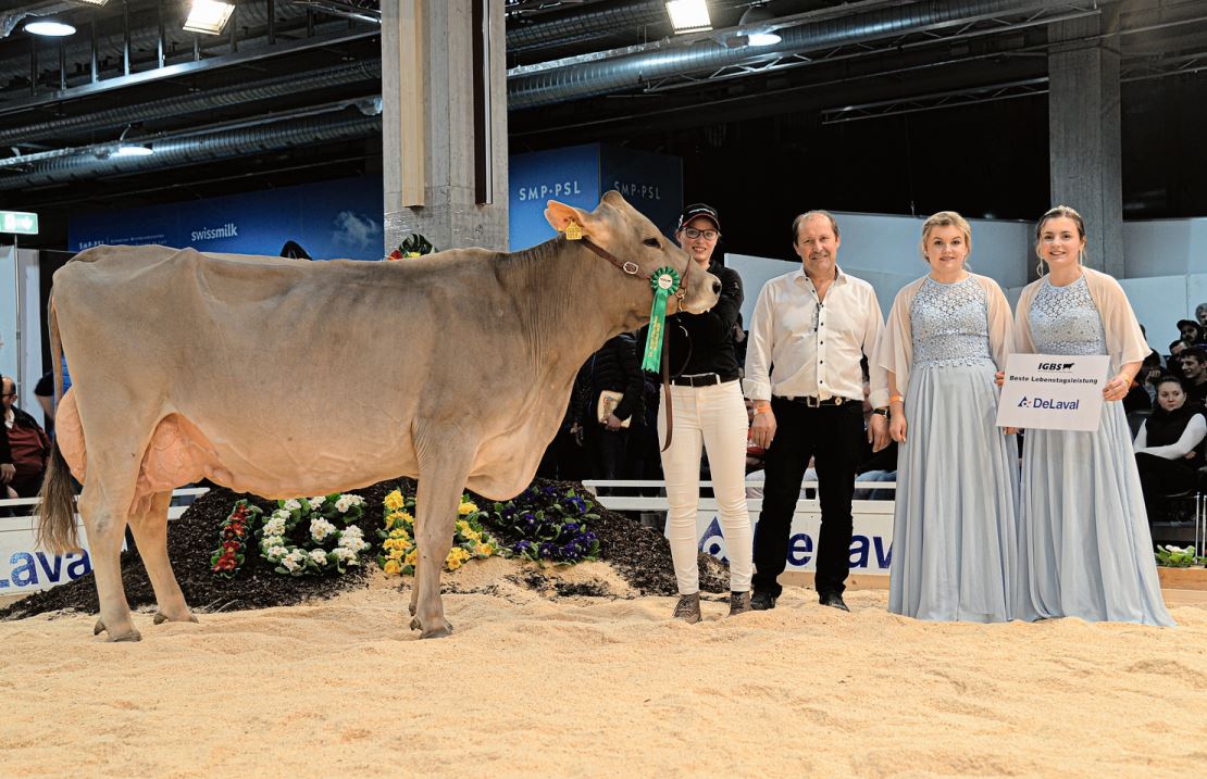 Pepita von Hubert Kühne, Goldingen, weist die höchste Lebensleistung von 62 691 Kilo Milch auf.