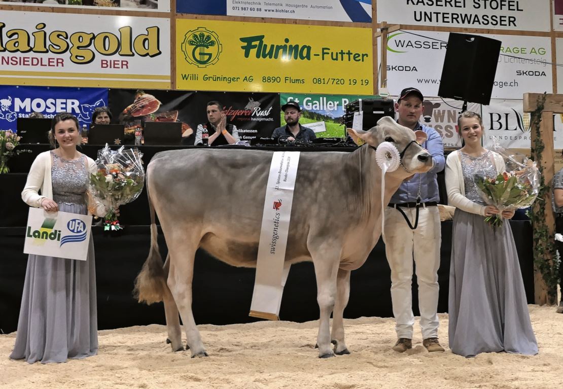 Hägar Joline von Hansueli und Markus Tischhauser aus Krummenau räumte den Rinder-Champion-Titel ab.