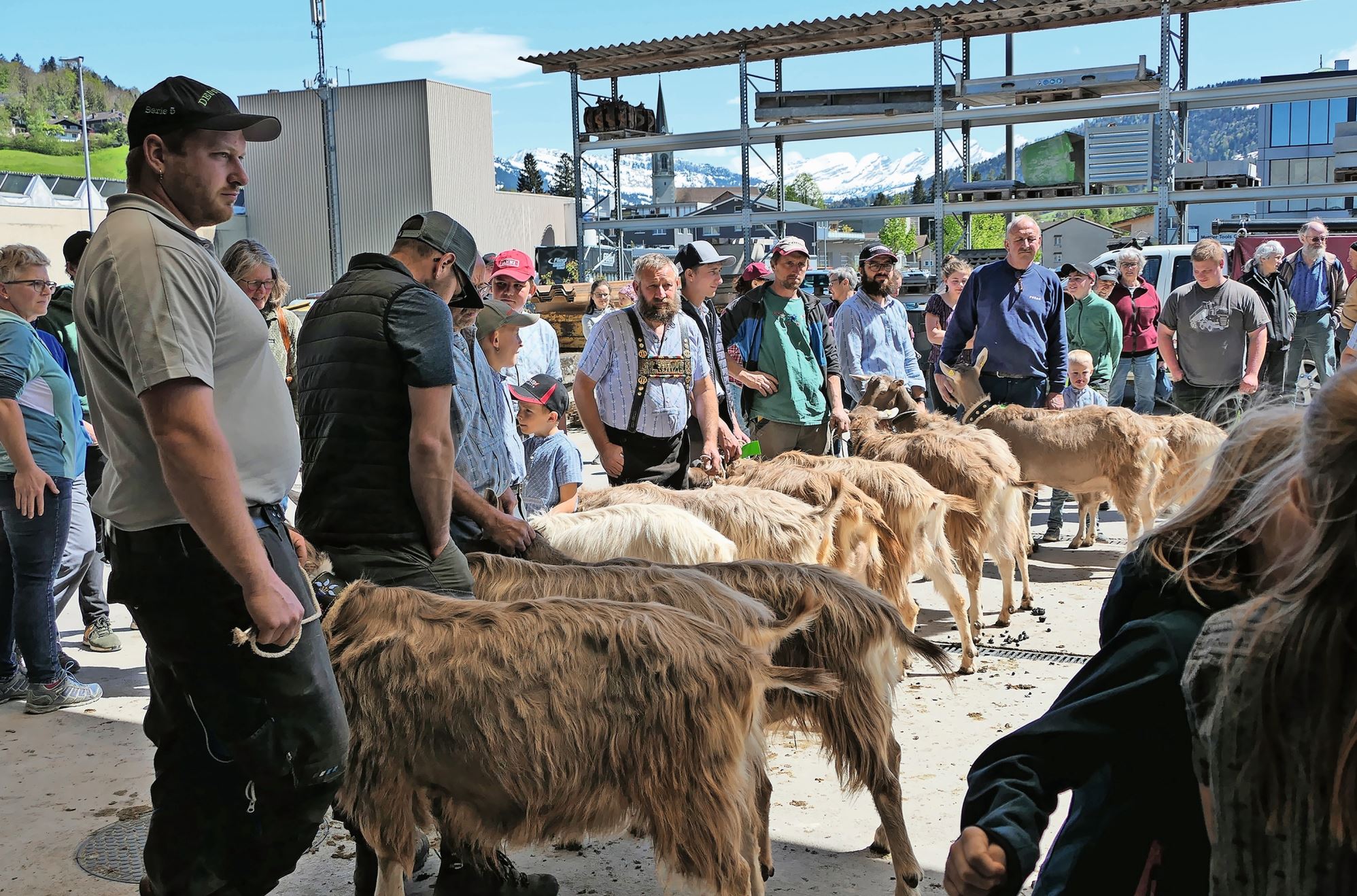 Die Schönsten traten zum Finale an.