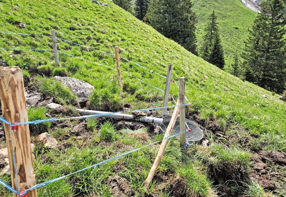 Das Installieren der Tränkestellen gehört auch zur Vorbereitung.