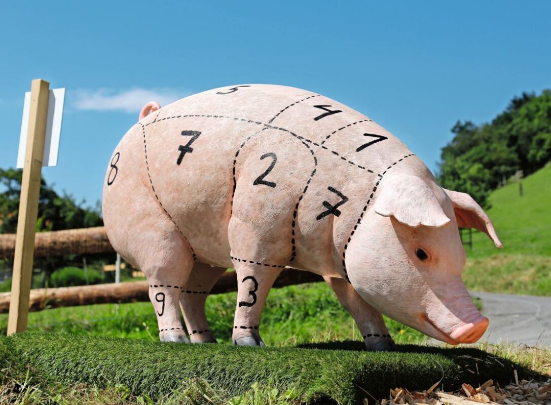 Schweinefleisch wird am meisten konsumiert. Bilder: Jonsas Ingold, LID