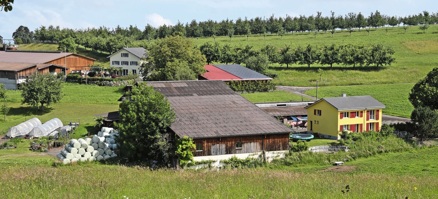 Im Vordergrund steht der Biohof der Familie Neff in Lömmenschwil.