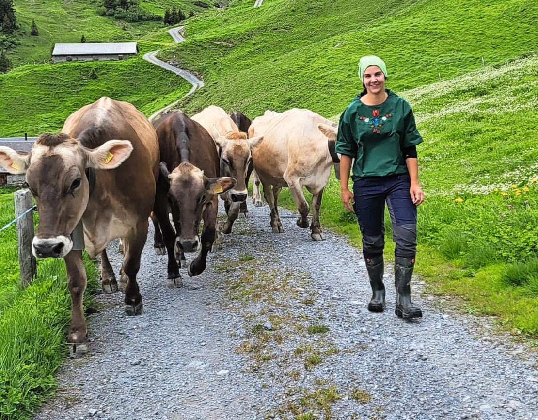 Die Kühe kommen. Nun ist Leben auf der Alp eingezogen.