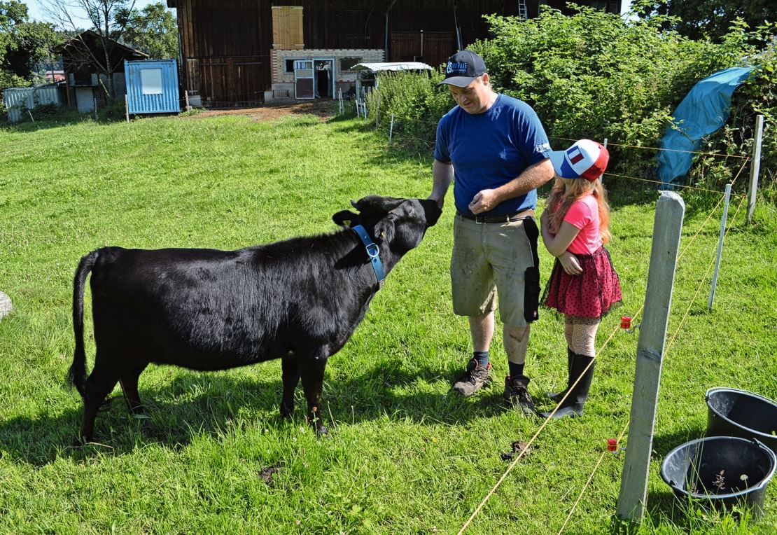 Manche Tiere wollen möglichst oft gekrault werden.