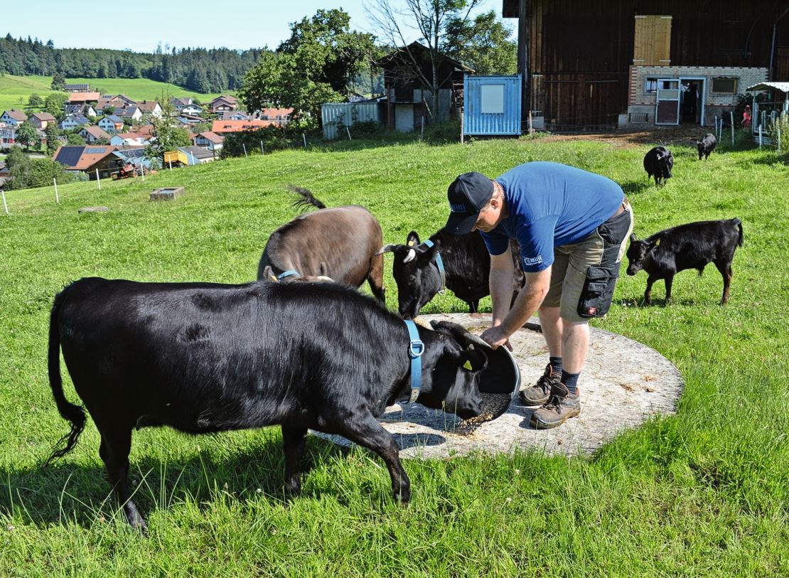 Wenn Andreas Knechtle mit dem Kübel Vierkornflocken lockt, sind die Tiere schnell zur Stelle.