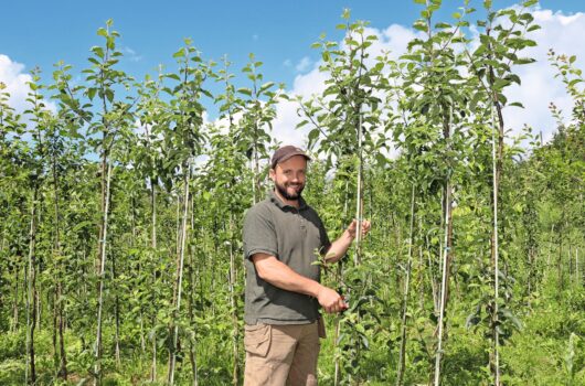 Rund 280 Pflanzenvariationen in Hoch-/Niederstamm- und Wildfruchtform züchtet Biobauer Tobias Torri.