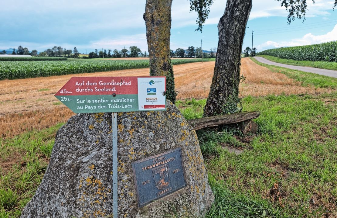 Der Weg ist gut signalisiert. Hier verlaufen die rote und grüne Route parallel.