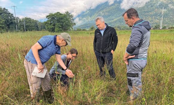 Botaniker Josef Hartmann zeigt der Arbeitsgruppe mit Corinne Abplanalp, Kilian Looser und Fredi Louis (von links) Arten, die noch nicht in der Blüte sind.