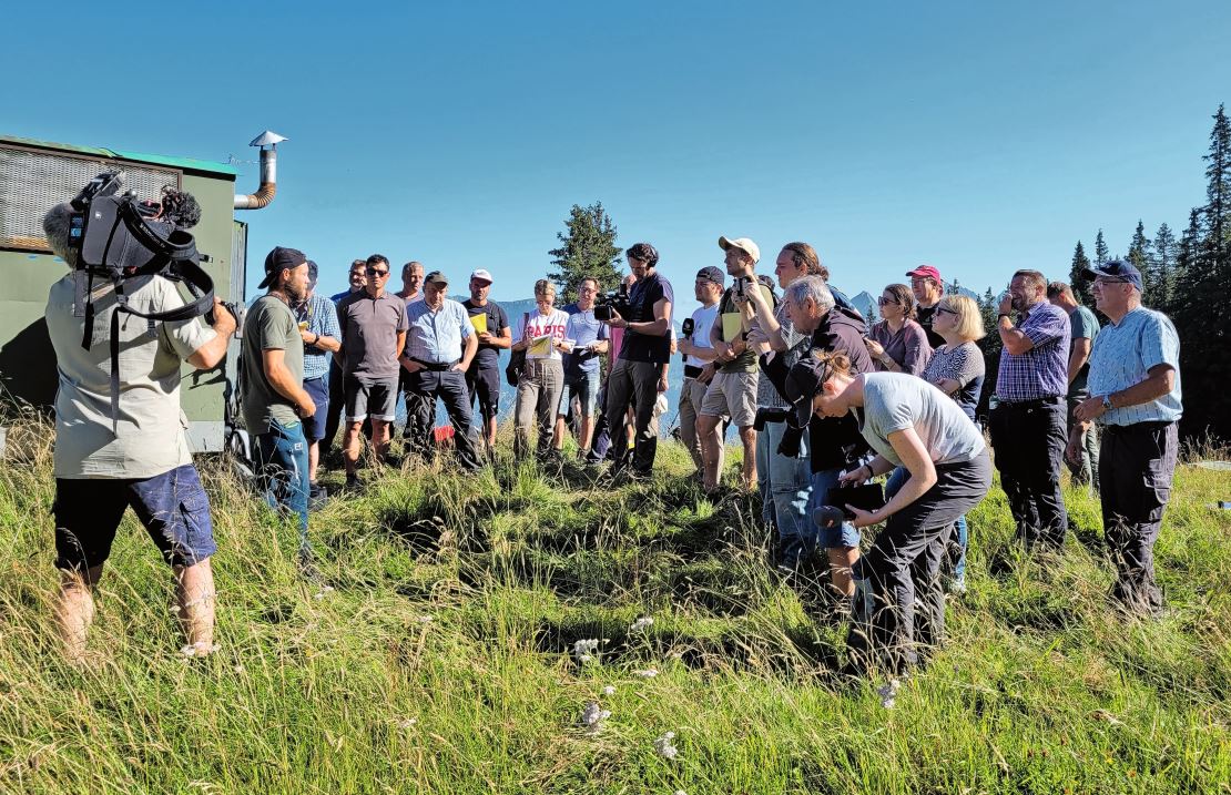 Der St. Galler Bauernverband lud zur Medienkonferenz auf die Alp Halde. Die Journalisten erschienen zahlreich. Bild: Mathias Rüesch