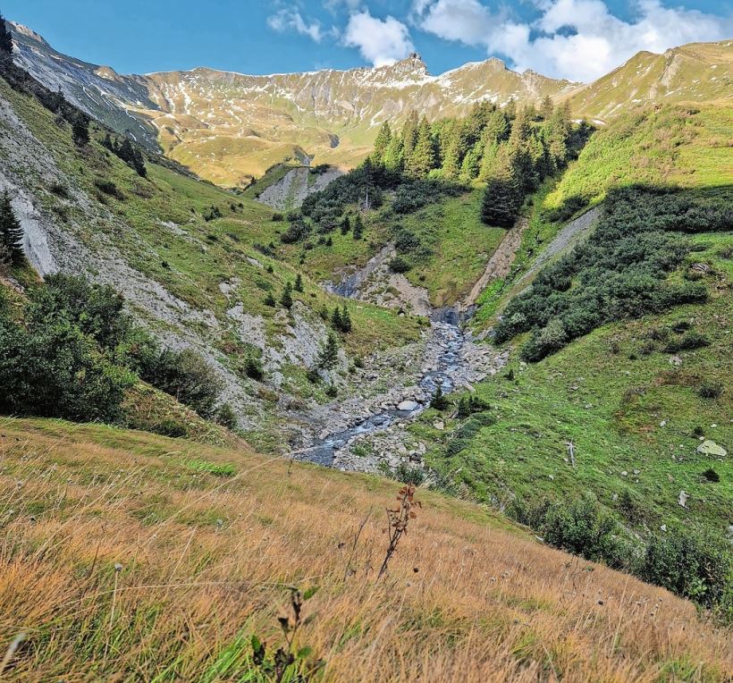 Der Herbst ist auf der Matt eingezogen und hat für kurze Zeit dem Winter Platz gemacht.